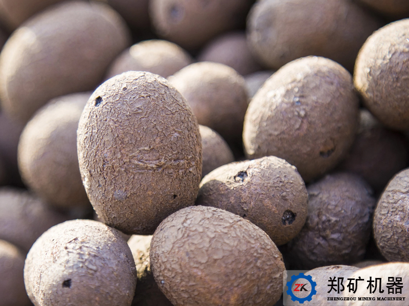 taoli5.jpg taoli5.jpg