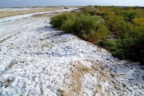 QQ圖片20211220131021.jpg QQ圖片20211220131021.jpg