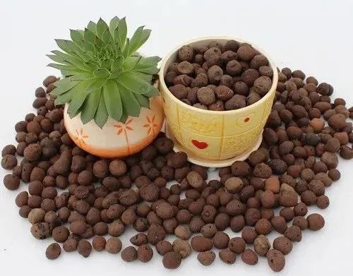 微信圖片_20220420085153.jpg 微信圖片_20220420085153.jpg