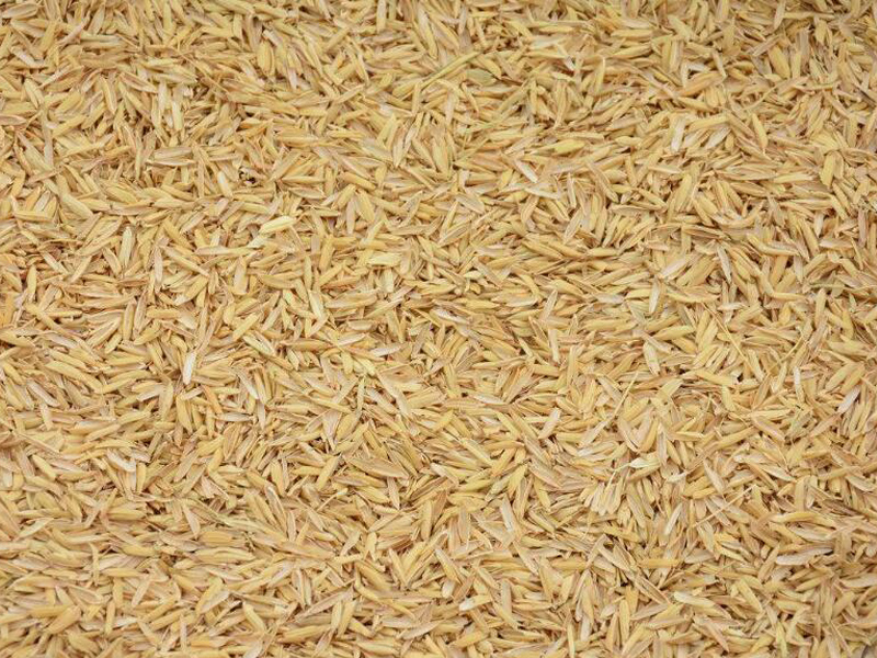 谷糠.jpg 谷糠.jpg